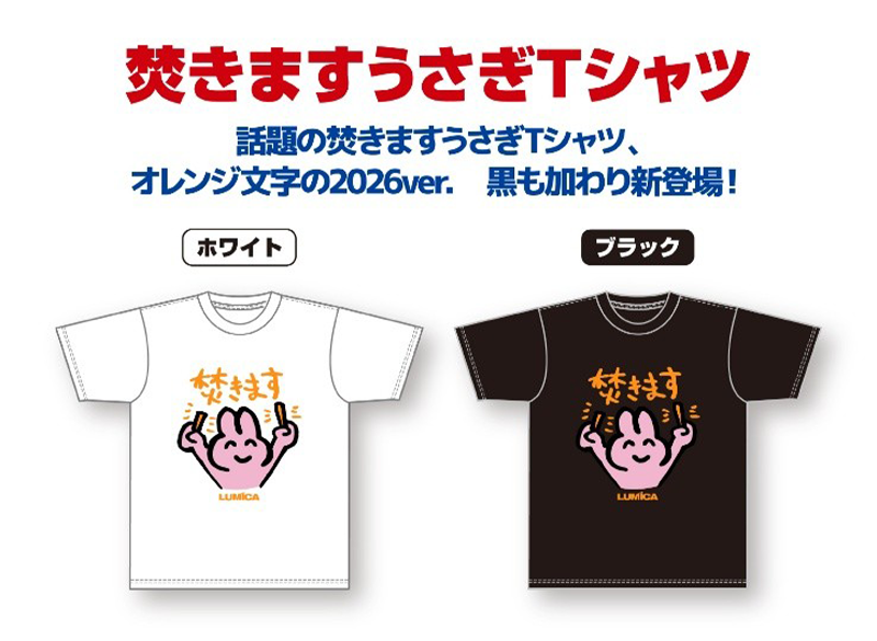 ルミカブース